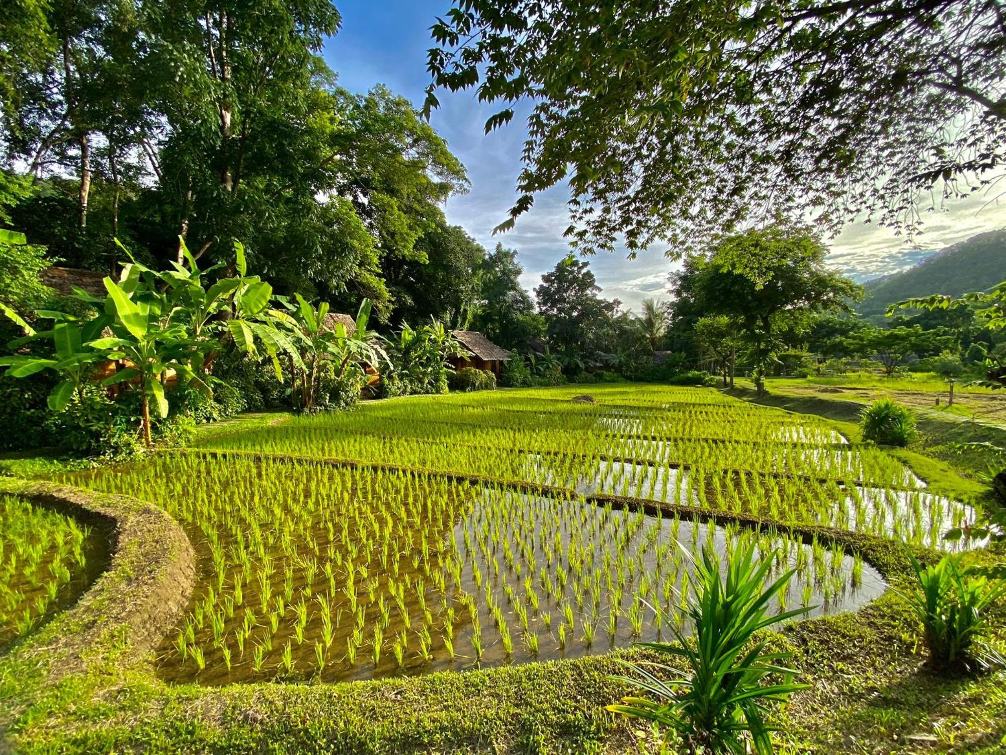 Fern Resort Mae Hong Son Exterior foto
