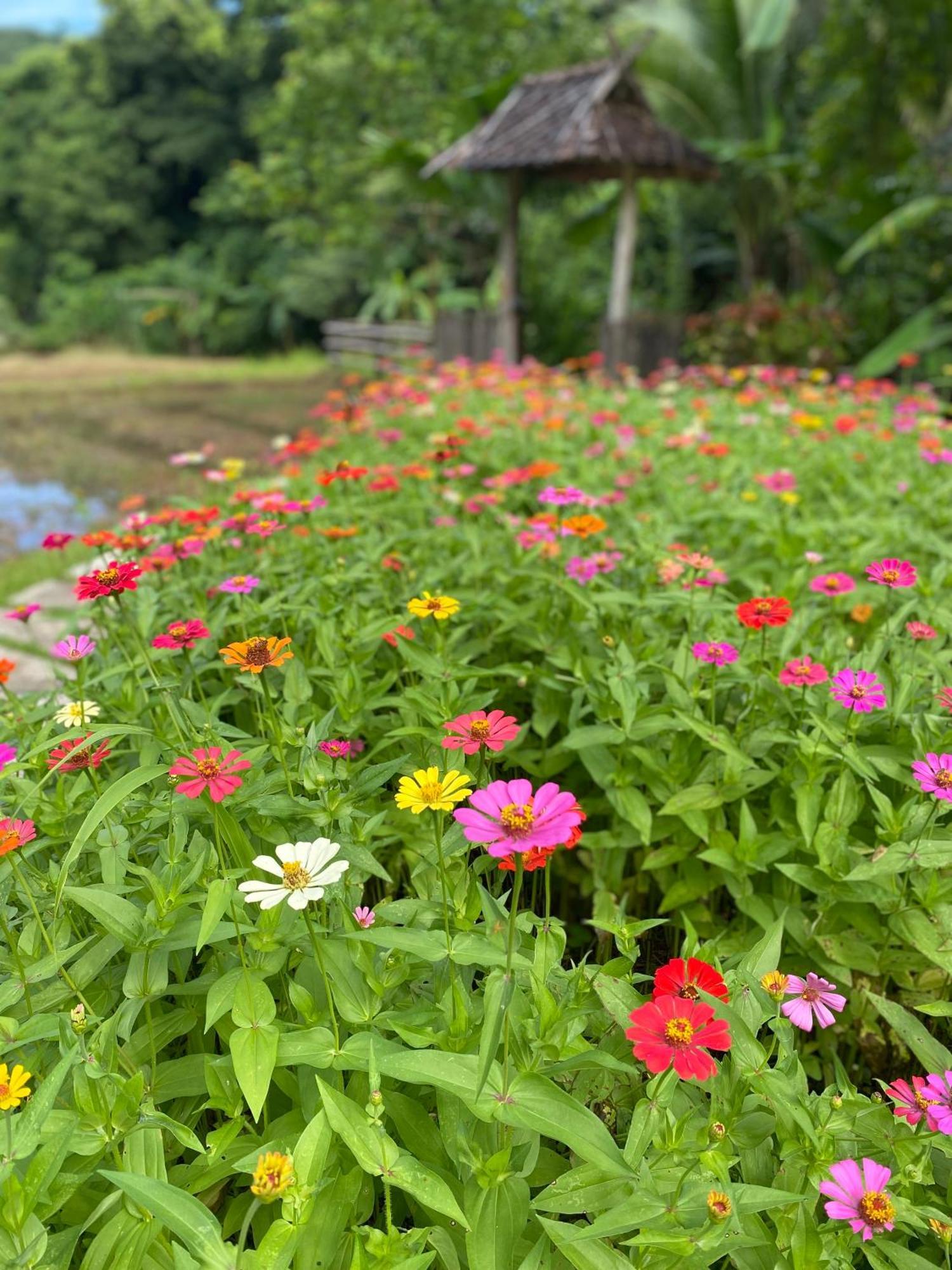 Fern Resort Mae Hong Son Exterior foto