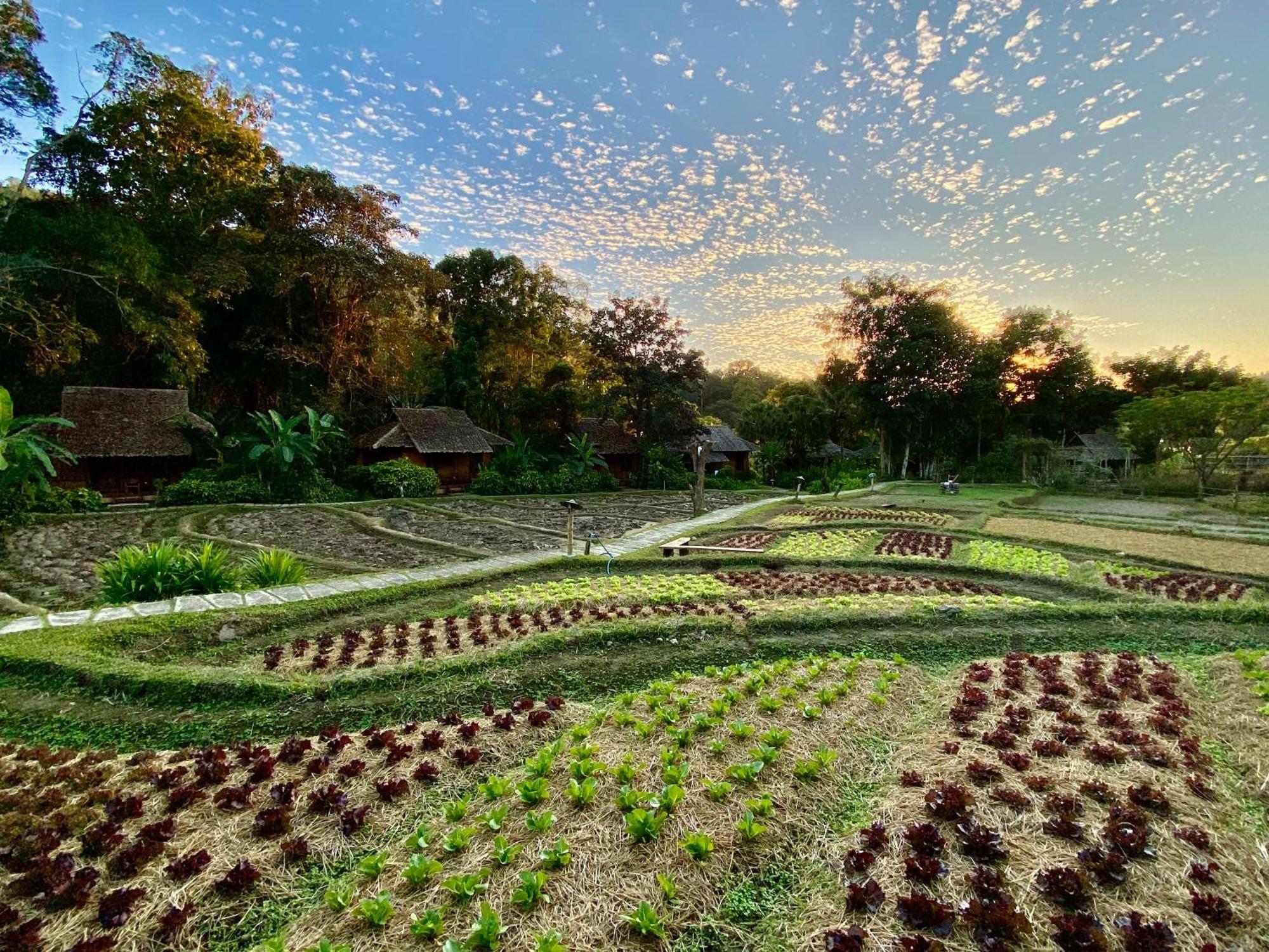 Fern Resort Mae Hong Son Exterior foto